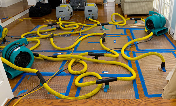 Professional Basement Flood Cleanup technician working in Palo, MI